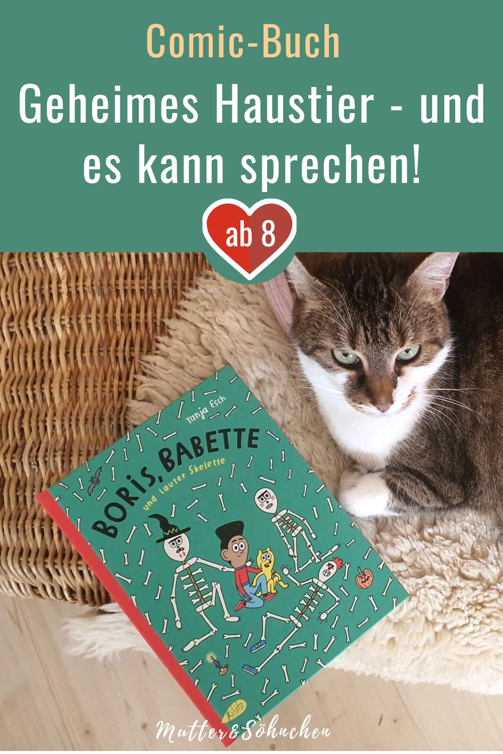 Geheimes Haustier Comic Boris Babette Und Lauter Skelette