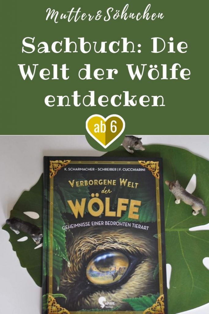 Nele zeltet mit ihrer Klasse im Wald, als sie nachts einen Wolf in der Ferne heulten hört. Doch ist das überhaupt möglich? Nele beschließt, der Sache auf den Grund zu gehen und später vielleicht einen Beitrag über Wölfe für die Kinderbeilage der Lokalzeitung zu verfassen. Ab jetzt tauchen die Leser ein in die geheimnisvolle Welt der Wölfe.  #sachbuch #wolf #wölfe #recherche #zeitung #schreiben #lernen #wald #wolf #lesen #buch #kinder