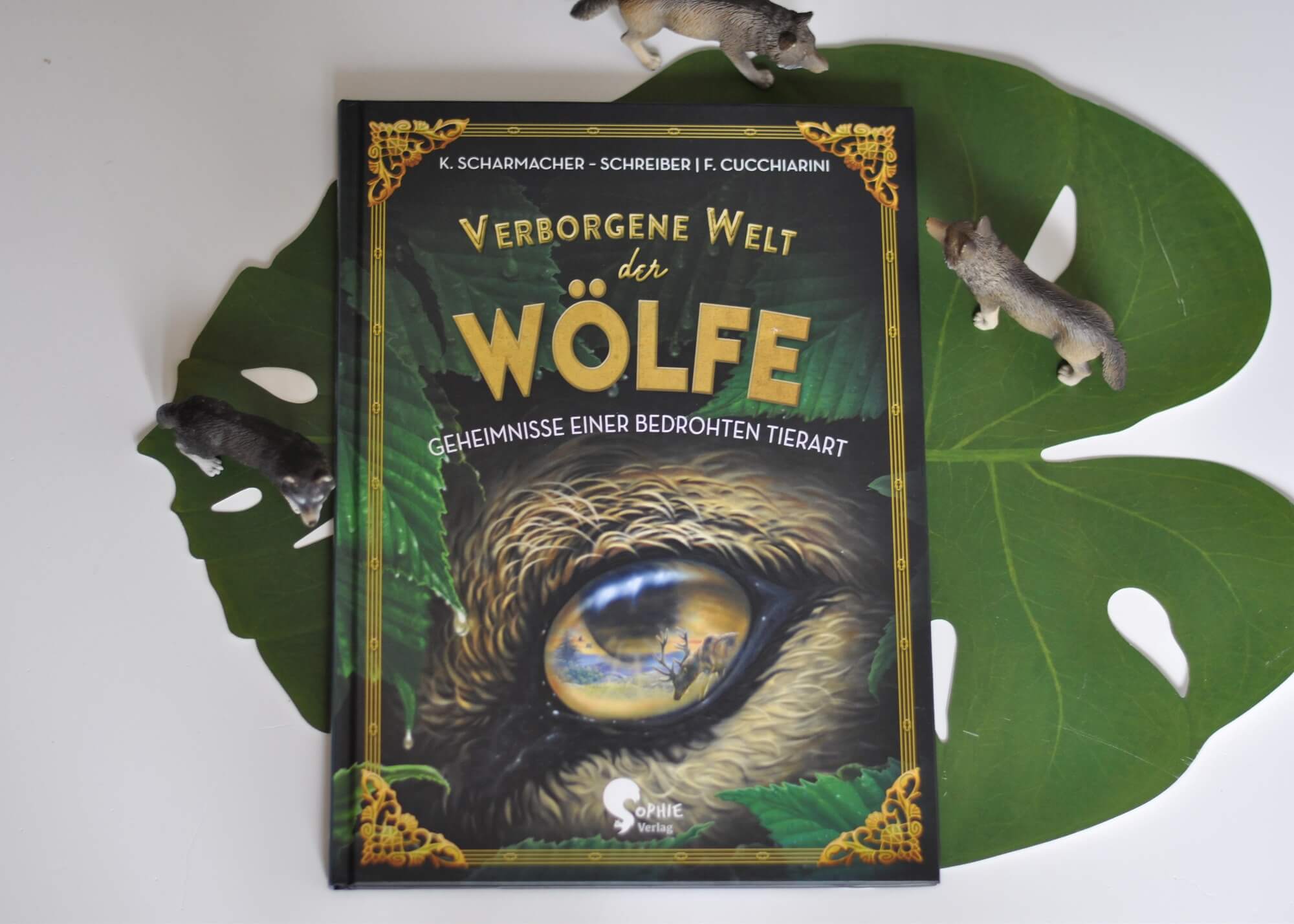 Nele zeltet mit ihrer Klasse im Wald, als sie nachts einen Wolf in der Ferne heulten hört. Doch ist das überhaupt möglich? Nele beschließt, der Sache auf den Grund zu gehen und später vielleicht einen Beitrag über Wölfe für die Kinderbeilage der Lokalzeitung zu verfassen. Ab jetzt tauchen die Leser ein in die geheimnisvolle Welt der Wölfe. #sachbuch #wolf #wölfe #recherche #zeitung #schreiben #lernen #wald #wolf #lesen #buch #kinder