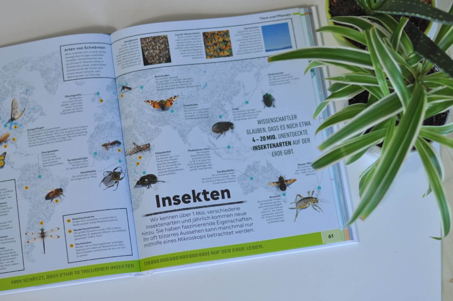 Der besondere Atlas für Kinder: 80 Weltkarten zum Staunen