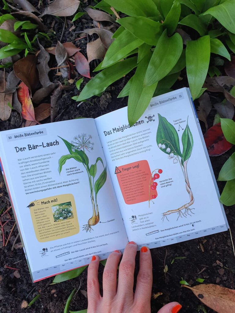 Was krabbelt denn hier und was blüht denn da? Mit den Kindernaturführern von KOSMOS ist man zum Glück schnell auf Spur, wenn es darum geht, Tier- und Pflanzenarten zu bestimmen. Die praktischen Helfer im Papierklappumschlag passen zum Glück in jeden Rucksack. Ich stelle euch heute drei der insgesamt fünf Sachbüchern aus der Reihe vor.  #natur #lexikon #insekten #tiere #garten #pflanzen #bäume #kinderbuch #sachbuch