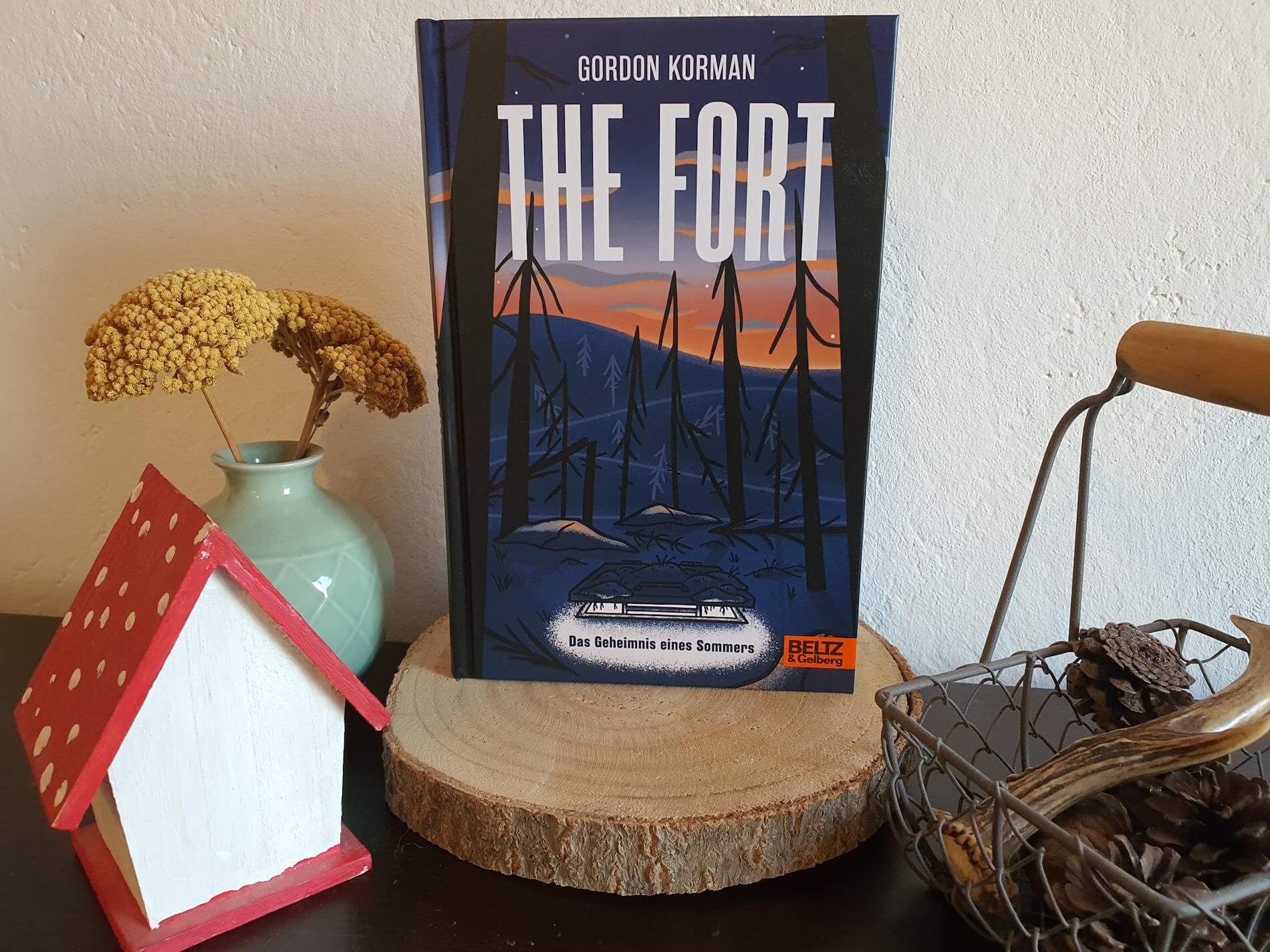 ComingofAge Roman The Fort Das Geheimnis eines Sommers