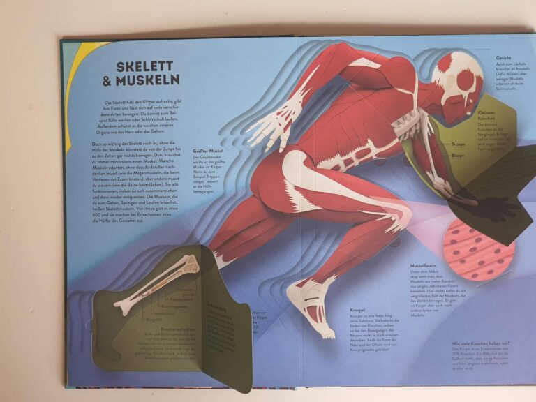 äußerste Schicht Mancher Organe Klappbuch Körper: Organe & Co. Schicht für Schicht entdecken
