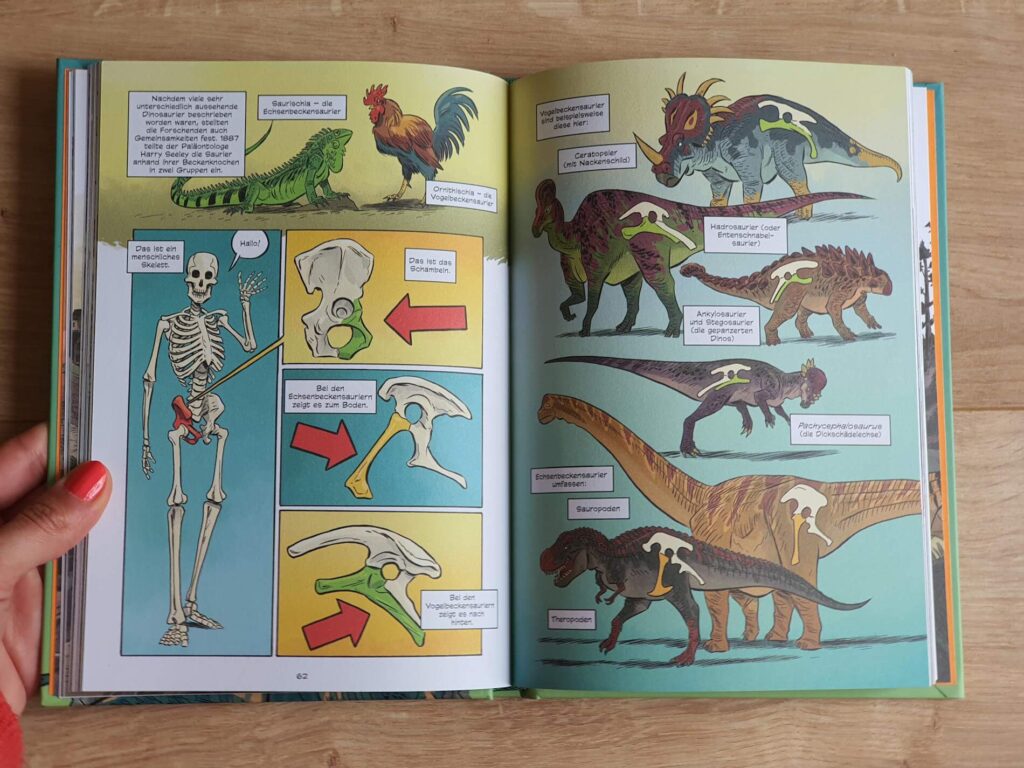 Wer hat die ersten Dinoknochen gefunden? Wann lebten die Dinosaurier auf unserer Erde? Und wie hat sich die Forschung im Laufe der Zeit verändert? MK Reed und Joe Flood zeigen in "Auf den Spuren der Dinosaurier", was wir heute alles über Dinos wissen und was es noch alles zu entdecken gibt. Und zwar als Comic! Diese grandiose und bilderstarke Zeitreise durch die Geschichte der Dino-Forschung ist ein Band aus der neuen Sachbuch-Reihe "Superbrain Comics", die Wissens-Themen verständlich erklärt.