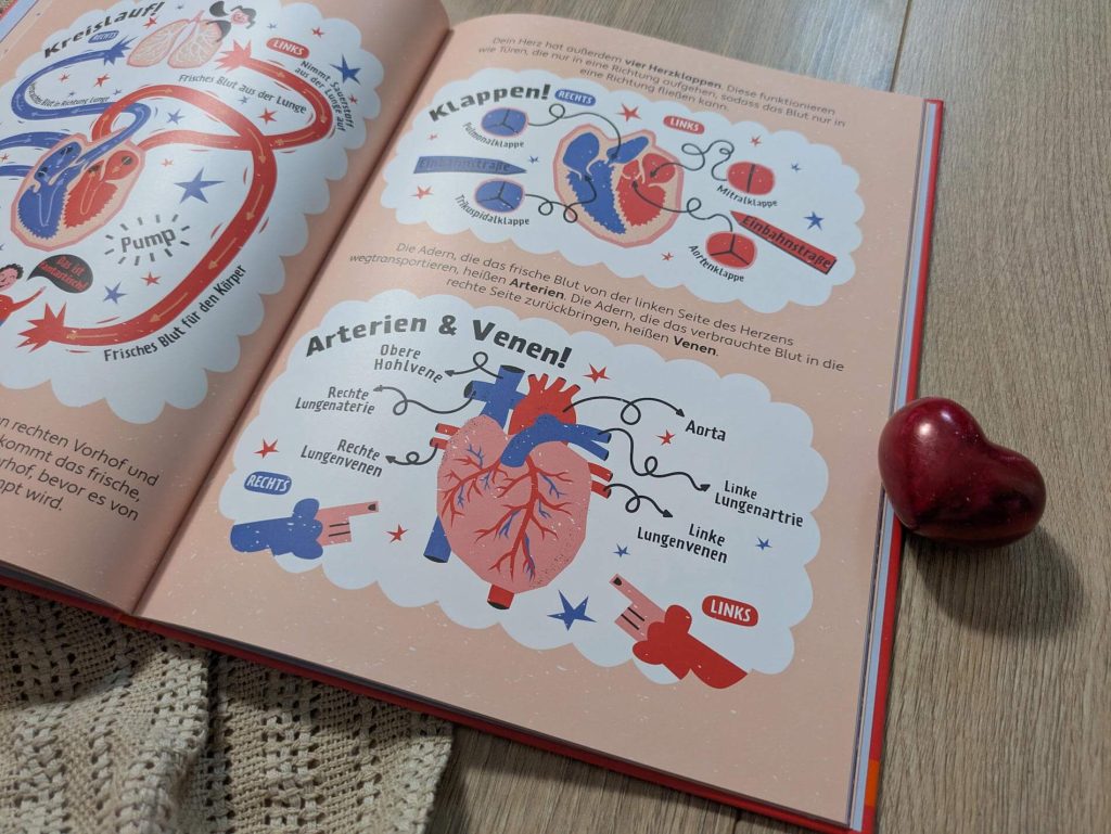 Das Herz ist eines der wichtigsten Organe unseres Körpers. Doch was macht das Herz eigentlich? Wie oft schlägt es in der Minute? Und haben alle Lebewesen ein Herz? Der Kardiologe Dr. Remi Kowalski beantwortet in seinem Buch "Alles über mein Herz" die wichtigsten Kinderfragen rund um Herz und den Blutkreislauf. Dazu ist das Sachbilderbuch außergewöhnlich cool und detailreich illustriert von Tania Composto, so dass allein das Anschauen hilft, den Körper besser zu verstehen.