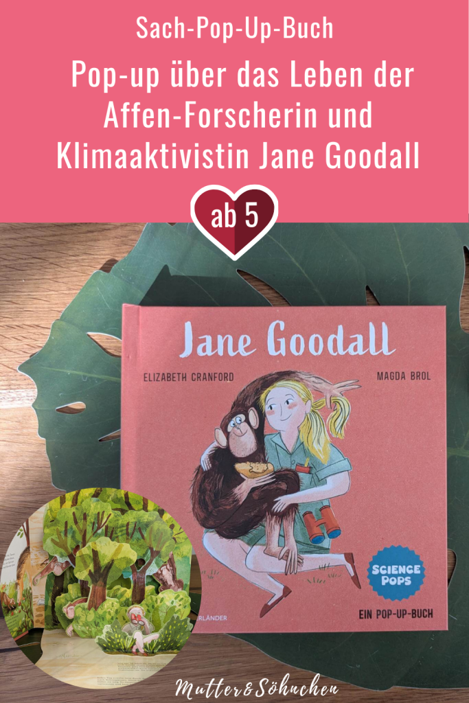 Als Jane Goodall entdeckte, dass auch Schimpansen Werkzeuge nutzen, jagen und liebevolle Eltern sind, veränderte das die Wissenschaft. Aber es gibt noch so viel mehr über die faszinierende Forscherin zu erfahren. Das neue "Science Pops: Jane Goodall" von Elisabeth Cranford und Magda Brol lässt und mit vielen Pop-up-Elementen und affenstarken Illustrationen in das Leben der Entdeckerin und Klimaaktivistin, aber auch in die Welt der Menschenaffen eintauchen. Eine richtig coole Pop-up-Biografien für junge Wissbegierige ab 5 Jahren! 