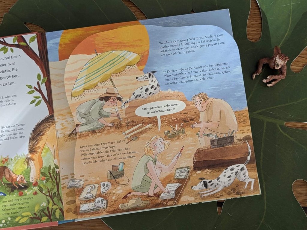Als Jane Goodall entdeckte, dass auch Schimpansen Werkzeuge nutzen, jagen und liebevolle Eltern sind, veränderte das die Wissenschaft. Aber es gibt noch so viel mehr über die faszinierende Forscherin zu erfahren. Das neue "Science Pops: Jane Goodall" von Elisabeth Cranford und Magda Brol lässt und mit vielen Pop-up-Elementen und affenstarken Illustrationen in das Leben der Entdeckerin und Klimaaktivistin, aber auch in die Welt der Menschenaffen eintauchen. Eine richtig coole Pop-up-Biografien für junge Wissbegierige ab 5 Jahren! 
