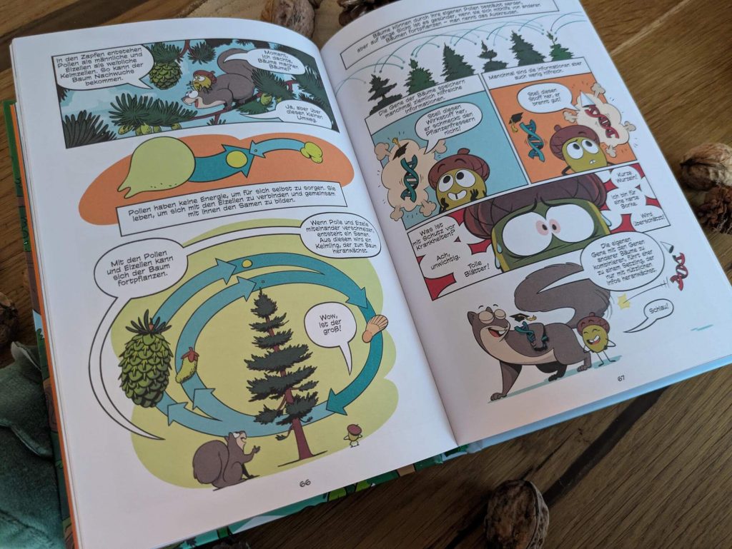 Die kleine Eichel will auf keinen Fall Wurzeln schlagen und ein Baum werden. An einer Stelle stehen und nichts tun - das wäre doch viel zu langweilig! Bis Frosch, Käfer, Specht, Eichhorn und andere Waldbewohner kommen und ihr erzählen, wie spannend das Leben als Baum wirklich ist. Wusstet ihr, dass Bäume lernen und auf ihre Umgebung reagieren können? Oder dass sie mit anderen Bäumen kommunizieren und sich gegenseitig Nahrung schicken? Andy Hirschs erzählendes Sach-Comic „Im Reich der Bäume“ aus der Reihe „Superbrain Comics“ nimmt Kinder ab 9 Jahren mit auf eine spannende Reise vom Wurzelwachstum und Pilznetzwerk bis hin zum Zellaufbau und der Photosynthese. 