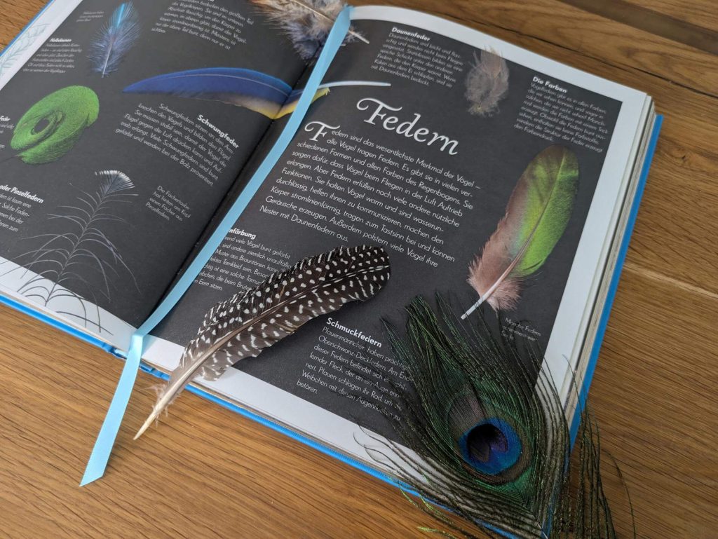 Wusstest du, dass bei den Emus die Väter die Jungen großziehen? Oder dass Kolibris die einzigen Vögel sind, die rückwärts fliegen können? In "Wunderwelt der Vögel" von Ben Horare begibt man sich auf farbenfrohe Expedition in die Vogelwelt. Mit Wissen über Federn, Eier, Nestbau und Abstammungen sowie Fakten zu 90 Vogelarten bekommt man dabei einen faszinierenden Einblick in die farbenprächtige Vielfalt der gefiederten Tiere. Vom stattlichen Hahn, über die geheimnisvolle Eule bis zum eleganten Eistaucher - ein wunderschön illustriertes Bilderbuch für junge Naturfans.