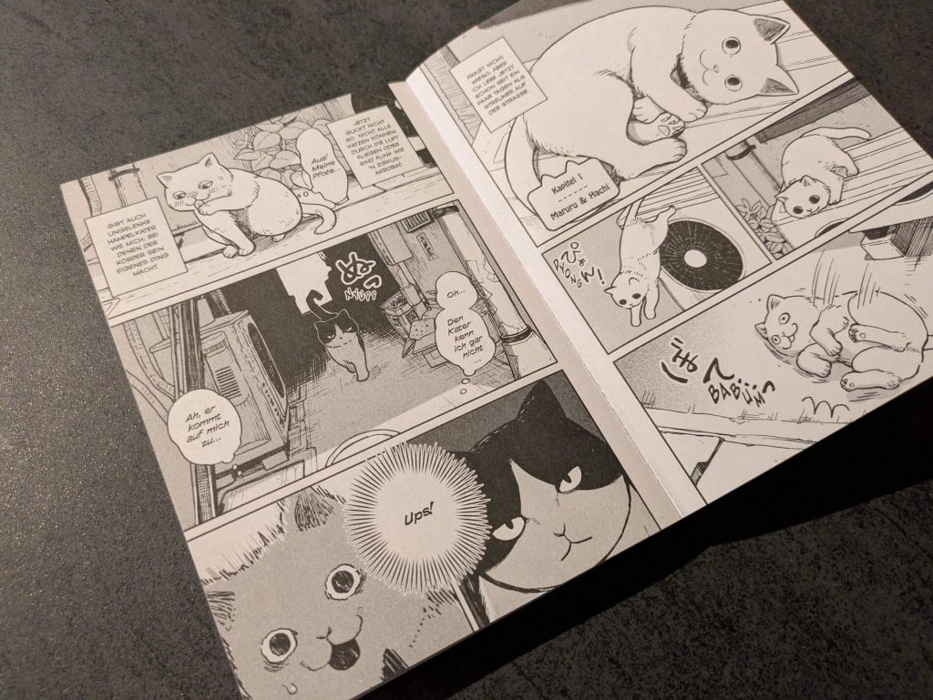 Maruru kennt nur weiche Kissen und volle Futternäpfe - bis er sich eines Tages in den Gassen der Stadt verläuft. Alles ist neu und aufregend, aber auch voller Gefahren. Zum Glück trifft er auf “Survival-Kater” Hachi, der das raue Straßenleben kennt wie kein anderer. Der ist zuerst wenig begeistert, sein Revier mit dem naiven Stubentiger zu teilen. Doch je besser sie sich kennenlernen, desto unzertrennlicher werden sie und trotzen gemeinsam allen Gefahren auf der Suche nach Futter und einem sicheren Unterschlupf. "Hatchi & Maruru - Streuner halten zusammen!" von Yuri Sonoda ist der Manga-Reihenauftakt eine katztastische Freundschaftsgeschichte mit vielen Einblicken in das aufregende und harte Leben von Straßenkatzen.