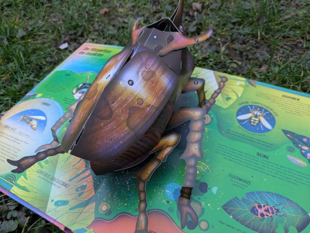 Wie ist der Körper eines Käfers aufgebaut? Wleche Mundwerkzeuge haben Stechmücken? Und wie fliegen Insekten? Hereinspaziert in die magische Welt der Krabbeltiere. In "Das unglaubliche Pop-up-Buch – Insekten: Über 20 Klappen und faszinierende Effekte" von Ben Hoare und Jasmin Floyd lernen wir jede Menge über Schmetterlinge, Wanzen, Bienen & Co. Dabei kommt man bei den Klappen und drei großen Pop-up-Szenen richtig ins Staunen. Ein wundervolles Kunstwerk als Sachbuch für kleine und große Insektenfans ab 6 Jahren.
