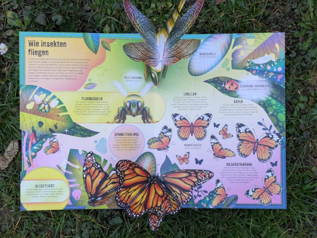 Wie ist der Körper eines Käfers aufgebaut? Wleche Mundwerkzeuge haben Stechmücken? Und wie fliegen Insekten? Hereinspaziert in die magische Welt der Krabbeltiere. In "Das unglaubliche Pop-up-Buch – Insekten: Über 20 Klappen und faszinierende Effekte" von Ben Hoare und Jasmin Floyd lernen wir jede Menge über Schmetterlinge, Wanzen, Bienen & Co. Dabei kommt man bei den Klappen und drei großen Pop-up-Szenen richtig ins Staunen. Ein wundervolles Kunstwerk als Sachbuch für kleine und große Insektenfans ab 6 Jahren.