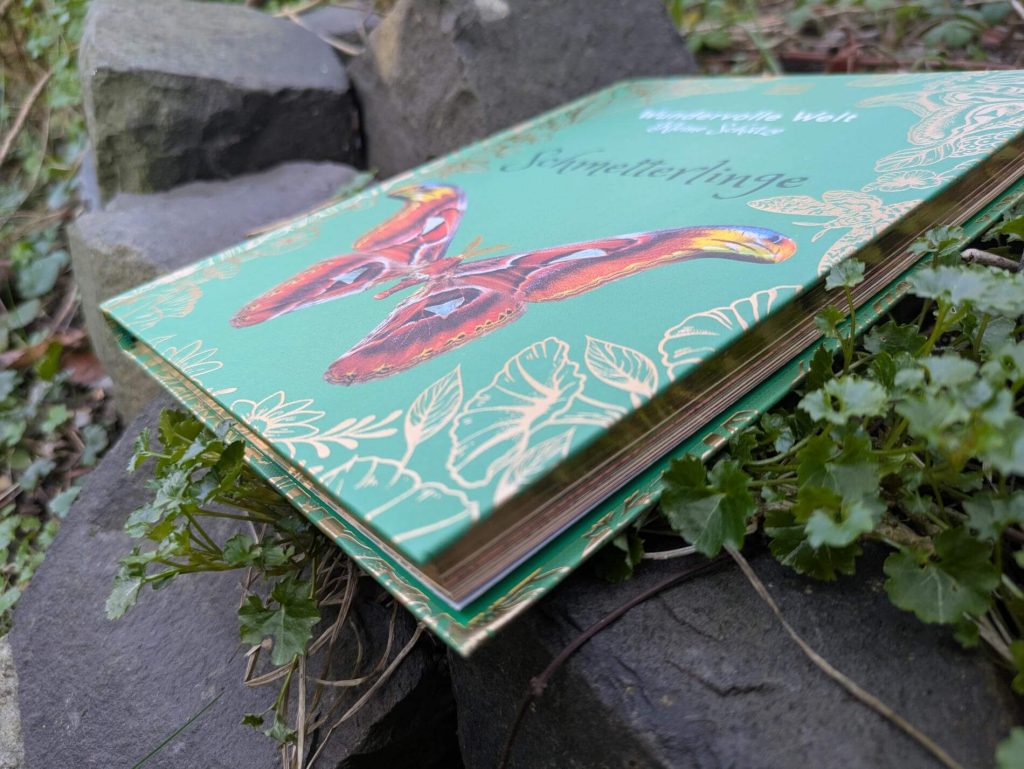 Wie wird aus einer Raupe ein Schmetterling? Wie sieht eigentlich ein Eichen-Prozessionsspinner aus? Und wie verbreitet ist der Distelfalter? In "Wundervolle Welt - Kleine Schätze: Schmetterlinge" von Richard Jones kann man 100 Tag- und Nachtfalter anhand von Steckbriefen und wunderschönen Illustrationen von Angela Rizza und Daniel Longin bestaunen. Ein Naturführer für Kinder ab 8 Jahren und junge Erwachsene.