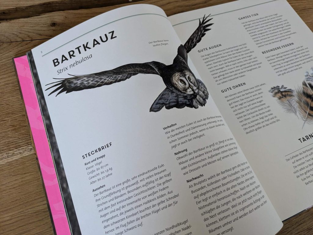 Ob beim Anschleichen an Beutetiere oder zum Schutz vor Fressfeinden: Warum sich Tiere in ihrer Umgebung tarnen, hat ganz unterschiedliche Gründe. In "Unsichtbar: Meister der Tarnung" von Holger Haar kommen wir einigen versteckten Tieren auf die Spur, lernen mehr über ihre Tarntricks und entdecken ihre Lebensräume. Doch erstmal muss man Alpenschneehuhn, Bartkauz, Chamäleon & Co. auf den detaillierten und meisterhaften Illustrationen von Julia Gerigk finden. Ein großformatiges Tierbuch mit  15 coolen Tierportraits für Kinder ab 6 Jahre.