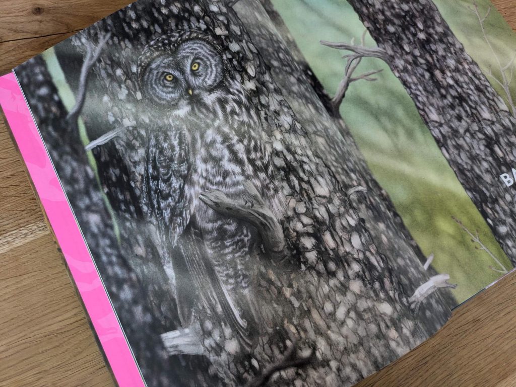 Ob beim Anschleichen an Beutetiere oder zum Schutz vor Fressfeinden: Warum sich Tiere in ihrer Umgebung tarnen, hat ganz unterschiedliche Gründe. In "Unsichtbar: Meister der Tarnung" von Holger Haar kommen wir einigen versteckten Tieren auf die Spur, lernen mehr über ihre Tarntricks und entdecken ihre Lebensräume. Doch erstmal muss man Alpenschneehuhn, Bartkauz, Chamäleon & Co. auf den detaillierten und meisterhaften Illustrationen von Julia Gerigk finden. Ein großformatiges Tierbuch mit  15 coolen Tierportraits für Kinder ab 6 Jahre.