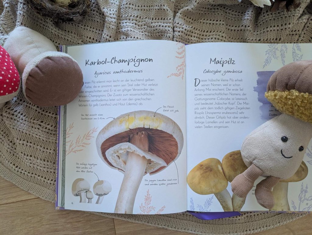 Ich liebe es durch den Herbstwald zu streifen und nach Pilzen Ausschau zu halten. Steinpilz, Pfifferling oder Parasol: diese sind recht einfach zu erkennen. Doch was macht einen Karbol-Champignon, einne Birken-Porling oder einen Tintenfischpilz aus? In dem neuen Pilz-Buch aus der Reihe "Wundervolle Welt - kleine Schätze" kann man rund 100 Pilzarten nachschlagen und bestaunen. Dazu gibt es reichlich Wissen rund um Baumpilze, Fruchtkörper-Formen und dem Leben von Pilzen zu erfahren. Ein praktvoller Naturführer mit Goldprägung und Lesebändchen, der in jede Tasche passt – für naturbegeisterte Kinder ab 8 Jahren und alle Pilzliebhaber:innen.