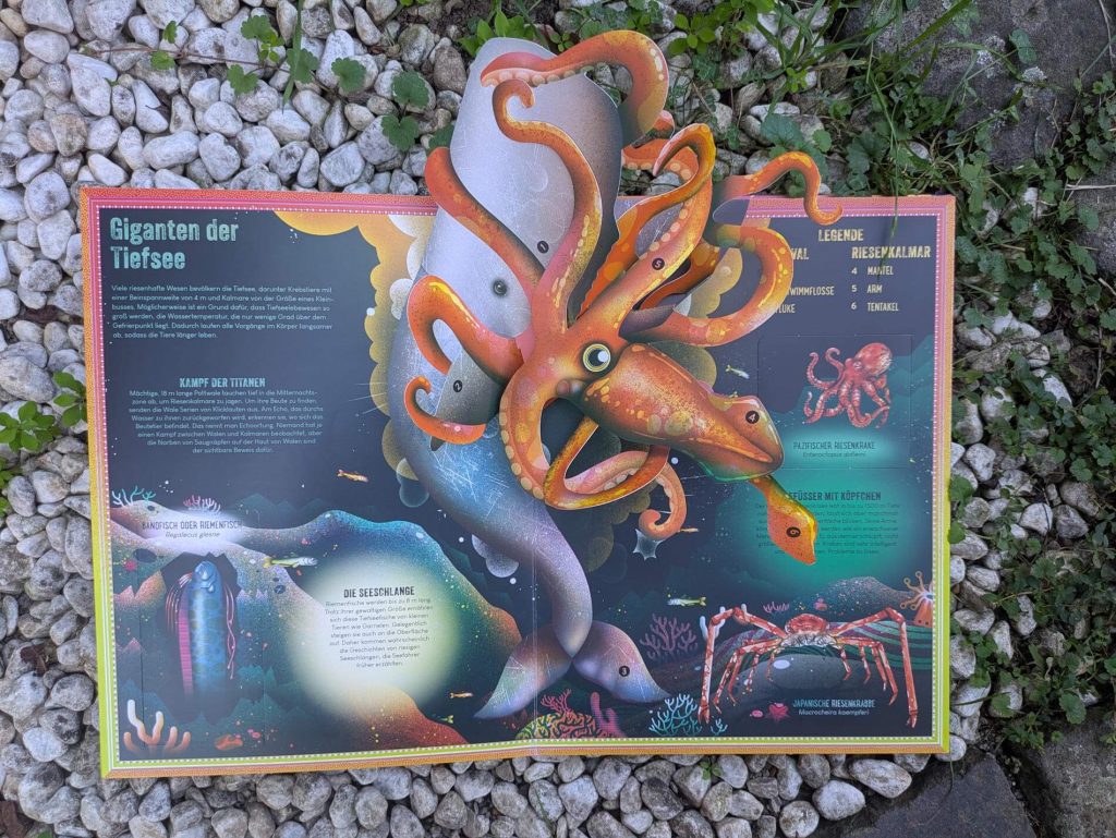 Welche gigantischen Lebewesen verbergen sich in den Tiefen der Ozeane? Wie ist der Körper eines Anglerfischs aufgebaut und warum leuchtet seine Angel? Und was ist die Tauerkrankheit? In "Tiefsee - Das unglaubliche Pop-Up-Buch" von Ben Hoare und Jasmin Floyd lernen wir jede Menge über Kalamaren, Tiefeseefische, Seeschlagen & Co. Dabei kommt man bei den Klappen und drei großen Pop-up-Szenen richtig ins Staunen. Ein wundervolles Kunstwerk als Sachbuch für kleine und große Meeresforscher:innen ab 6 Jahren.