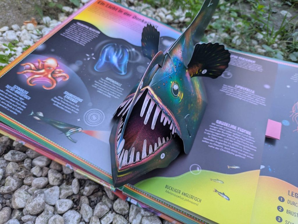 Welche gigantischen Lebewesen verbergen sich in den Tiefen der Ozeane? Wie ist der Körper eines Anglerfischs aufgebaut und warum leuchtet seine Angel? Und was ist die Tauerkrankheit? In "Tiefsee - Das unglaubliche Pop-Up-Buch" von Ben Hoare und Jasmin Floyd lernen wir jede Menge über Kalamaren, Tiefeseefische, Seeschlagen & Co. Dabei kommt man bei den Klappen und drei großen Pop-up-Szenen richtig ins Staunen. Ein wundervolles Kunstwerk als Sachbuch für kleine und große Meeresforscher:innen ab 6 Jahren.